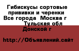 Гибискусы сортовые, прививки и черенки - Все города, Москва г.  »    . Тульская обл.,Донской г.